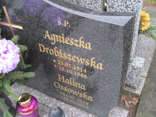 Agnieszka DROBISZEWSKA 1914 Tczew - Grobonet - Wyszukiwarka osób pochowanych