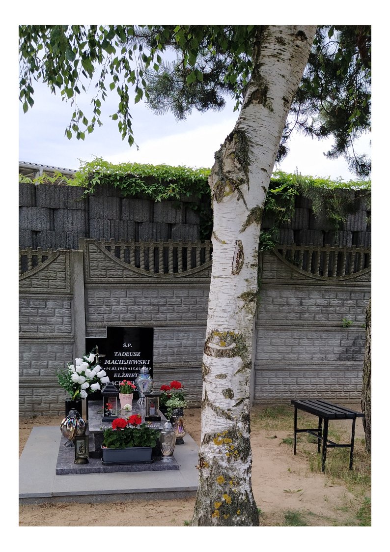 Grób TADEUSZ MACIEJEWSKI