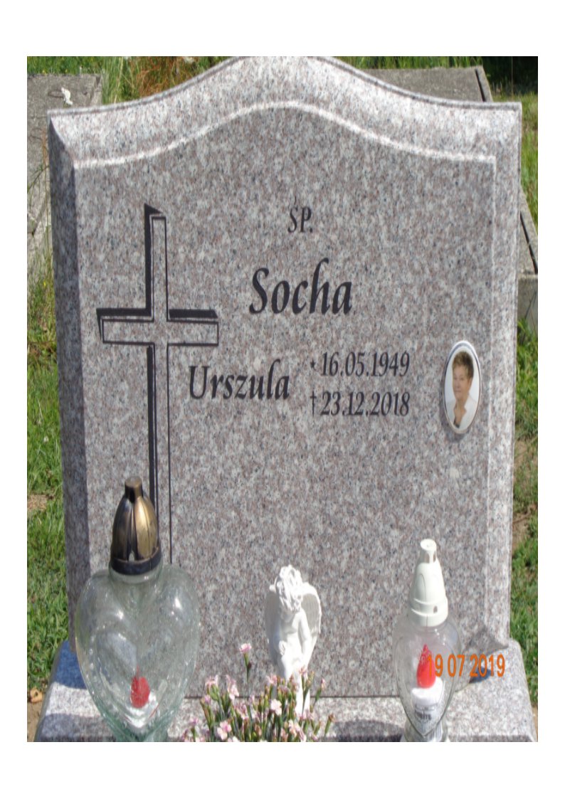 Urszula SOCHA  1949 Tczew - Grobonet - Wyszukiwarka osób pochowanych
