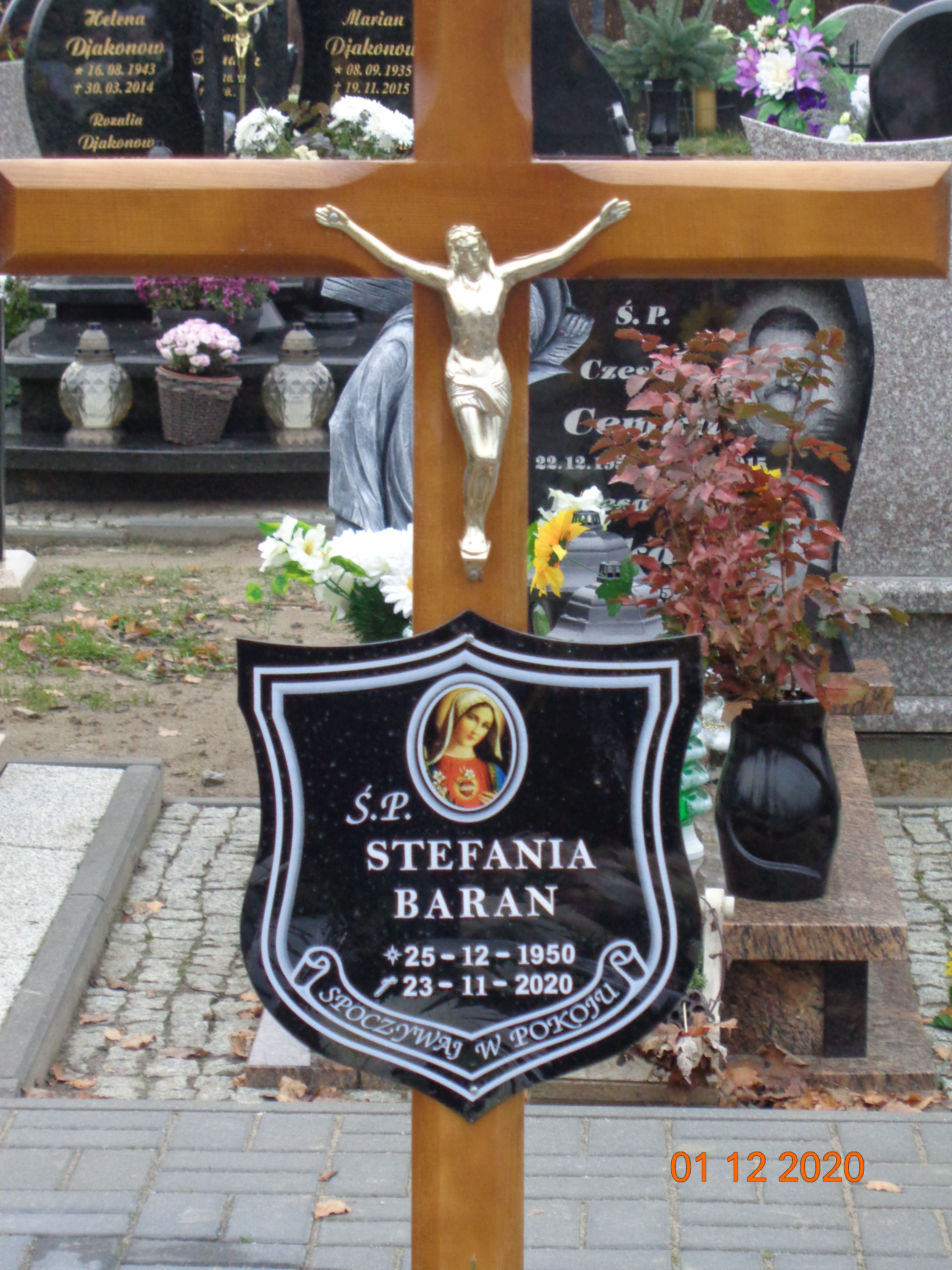 Stefania BARAN 1950 Tczew - Grobonet - Wyszukiwarka osób pochowanych