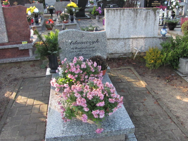 Władysława ADAMCZYK 1889 Tczew - Grobonet - Wyszukiwarka osób pochowanych
