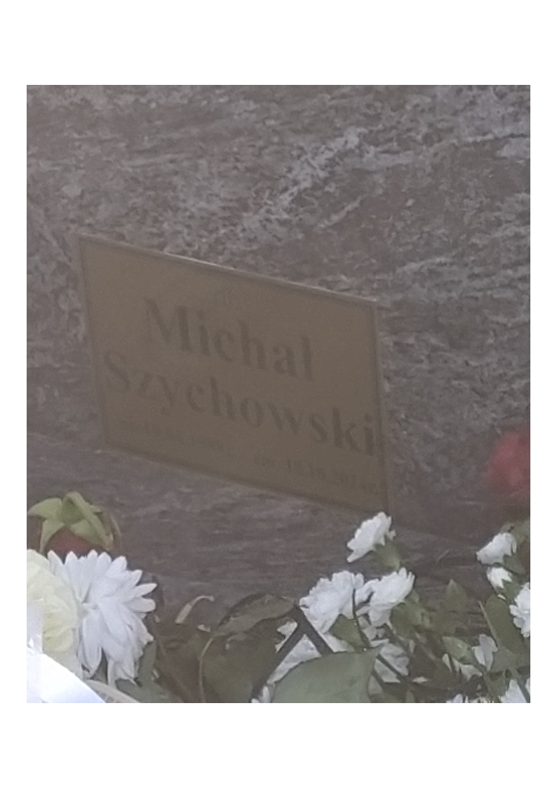 Michał SZYCHOWSKI 1988 Tczew - Grobonet - Wyszukiwarka osób pochowanych