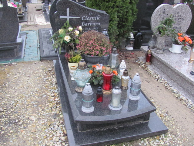 Grób ANDRZEJ CIEŚNIK